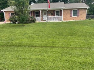 Liefson S.'s grass maintenance service result