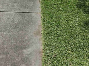 Drew D.'s lawn service service result