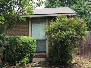 Parisa A.'s Bush Trimming service result