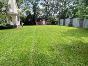 Gail G.'s turf care service result