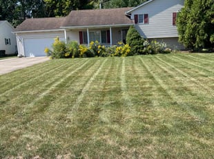 David D.'s grass cutting service result