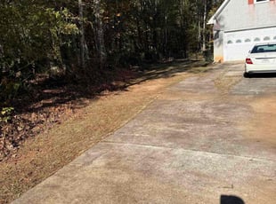 Luci W.'s Bush Trimming service result