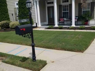 Lysanias T.'s grass cutting service result