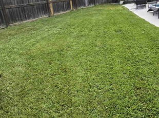 Justin R.'s turf care service result