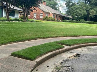 Lamonica Q.'s grass cutting service result