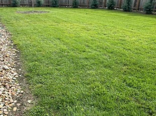 Tammy K.'s lawn service service result