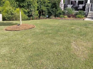 Joshua C.'s lawn maintenance service result