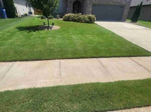 Jennifer F.'s grass cutting service result