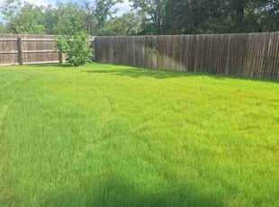 Leslie R.'s lawn maintenance service result