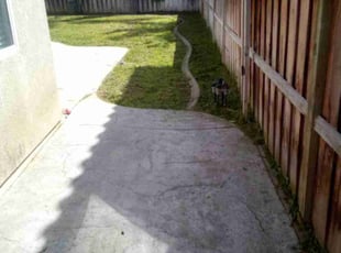 Dennis O.'s Long Grass Cleanup service result