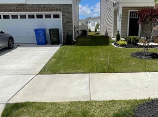 Jean M.'s lawn service service result