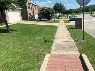 Lisa B.'s lawn care service result