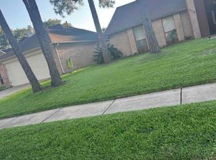 Sophia B.'s lawn maintenance service result