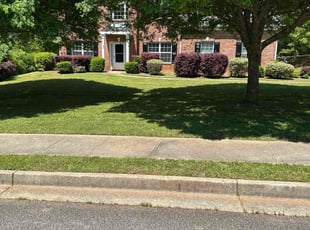 Jade K.'s turf care service result