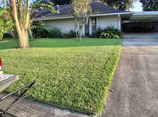 Rick R.'s lawn care services service result
