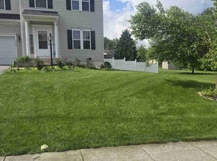 Willie P.'s grass maintenance service result
