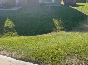 Matt H.'s lawn service service result