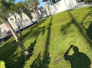 Kip K.'s grass cutting service result