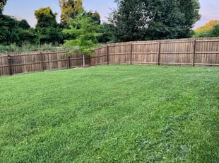 Michael M.'s Long Grass Cleanup service result