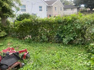 Richard M.'s Bush Trimming service result