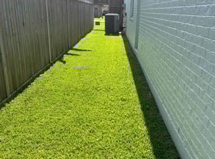 Jeffrey T.'s lawn maintenance service result
