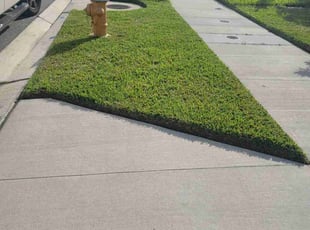 James I.'s turf care service result
