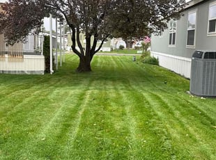 Heather G.'s lawn care services service result