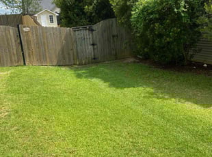 Patricia C.'s grass cutting service result