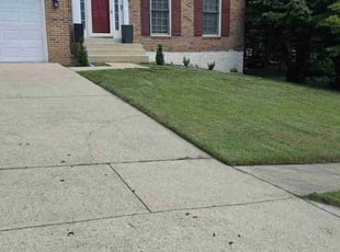 Chris B.'s lawn service service result