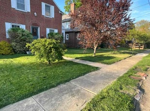 Michele M.'s lawn maintenance service result