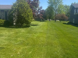 Tanika G.'s grass maintenance service result