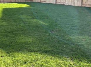 Che S.'s lawn maintenance service result