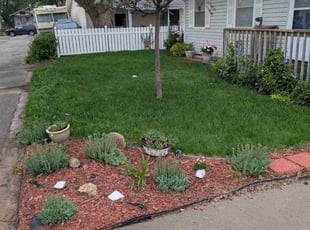 Dawn G.'s lawn maintenance service result