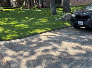 Larry W.'s lawn service service result