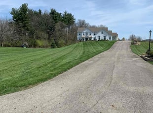Sharon T.'s lawn care service result