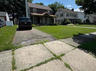 Dorace G.'s turf maintenance service result