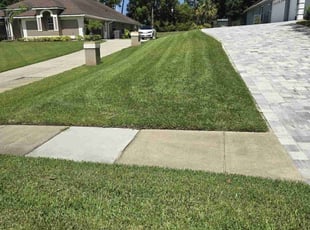 Megan M.'s grass maintenance service result