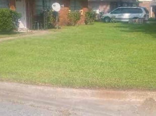 Jerry H.'s lawn maintenance service result