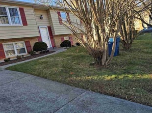 Rachel S.'s Leaf Removal service result