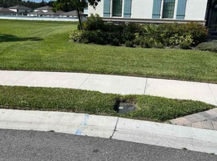 Lakeitsha K.'s lawn care services service result