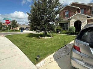 Holly F.'s turf maintenance service result