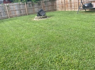 Valerie P.'s turf maintenance service result
