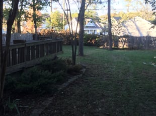 Bianca H.'s Flower Bed Weeding service result