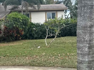 Greg M.'s turf care service result