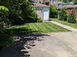 Ernest H.'s grass cutting service result