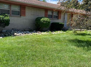 Daochun S.'s Bush Trimming service result