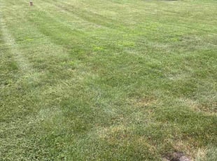 Jeff H.'s lawn care services service result