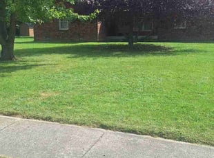 Cat R.'s lawn care services service result