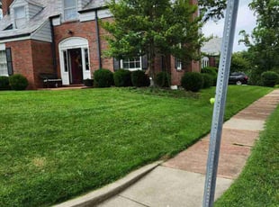 Gladys C.'s turf maintenance service result