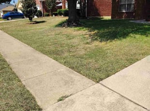 Israel E.'s grass cutting service result